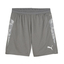 teamCUP Training Shorts flatmediumgraypumasilverflatlightgray