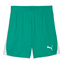 teamLIGA26 Shorts sportgreenpumawhitepumawhite