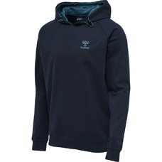 HMLACTION COTTON HOODIE-858633