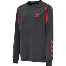 HMLACTION COTTON SWEATSHIRT KIDS