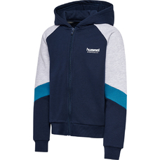 hmlJR LOOSE BLOCKED ZIP HOODIE-2396429