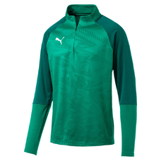 CUP Training 1/4 Zip T Core-815829
