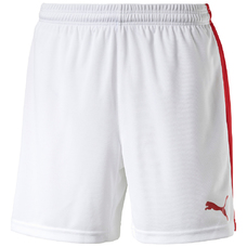 PITCH SHORTS WITHINNERBRIEF