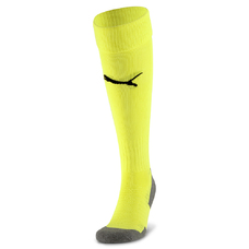 Team LIGA Socks CORE-816340