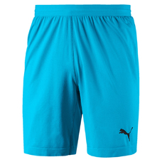 FINAL EVOKNIT GK SHORTS-546007
