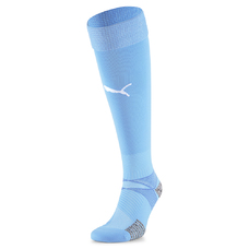 teamFINAL 21 Socks
