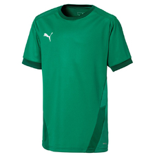 teamGOAL 23 Jersey jr