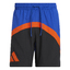 GALAXY BASKETBALLSHORTS royblu