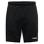 Freizeitshort Dynamic schwarz