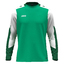 Longsleeve Dynamic gruenweissdunkelgruen