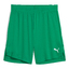 teamJAWS Starter Shorts sportgreen