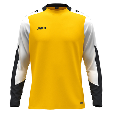 Longsleeve Dynamic