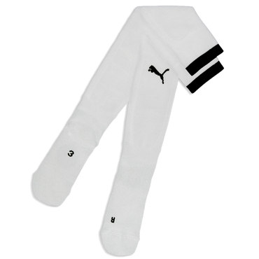 teamFINAL26 Socks