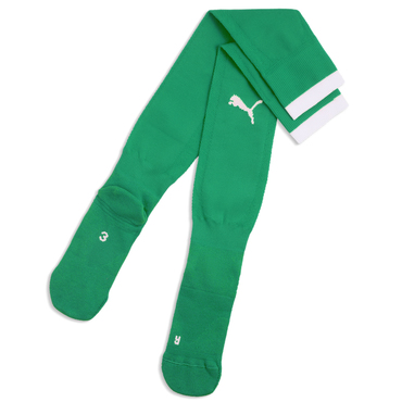 teamFINAL26 Socks