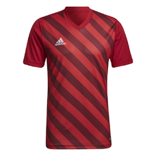 ENTRADA 22 GRAPHIC TRIKOT-1428968
