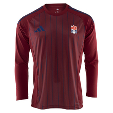 HSV Hamburg WarmUp Langarmshirt 25/26-2410822
