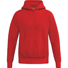 TS Hoody-2434402