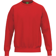 TS Sweatshirt-2434695