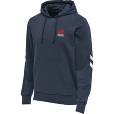 HMLLGC GRAHAM HOODIE-983479