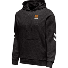 HMLLGC LIAM HOODIE-1050899