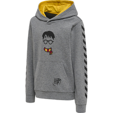 hmlHARRY POTTER CUATRO HOODIE-2053296