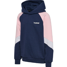 hmlJR LOOSE BLOCKED HOODIE-2428410