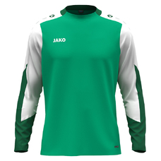 Longsleeve Dynamic-2404532