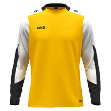Longsleeve Dynamic-2404537