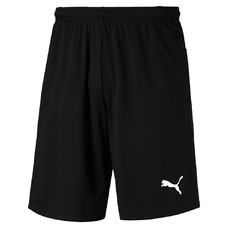 LIGA TRAINING SHORTS