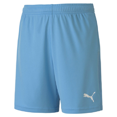 teamGOAL 23 knit Shorts jr