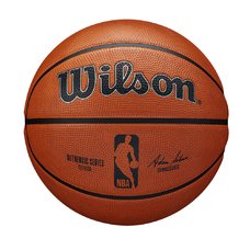 NBA AUTHENTIC SERIES OUTDOOR BSKT